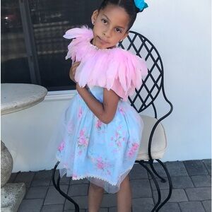 Pink feather cape. Purchase from Etsy. Worn twice, in excellent condition.